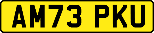 AM73PKU