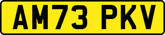 AM73PKV
