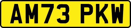AM73PKW