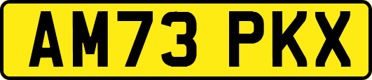 AM73PKX