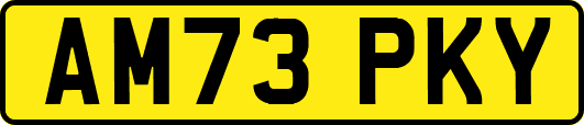 AM73PKY