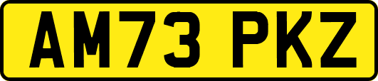 AM73PKZ