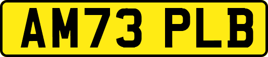 AM73PLB