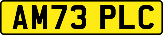 AM73PLC