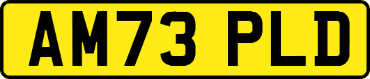 AM73PLD