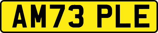 AM73PLE