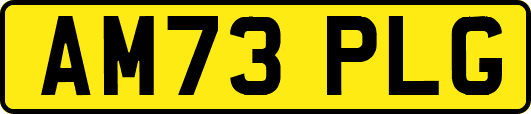 AM73PLG