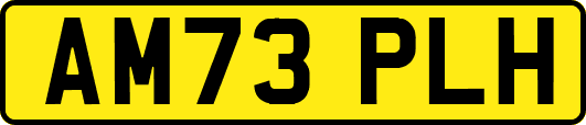 AM73PLH