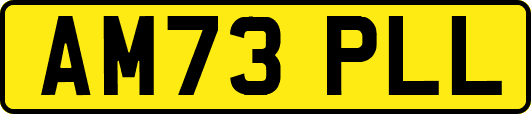 AM73PLL