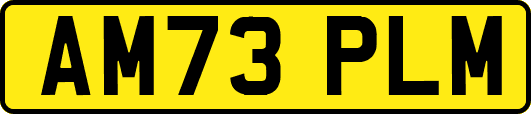 AM73PLM