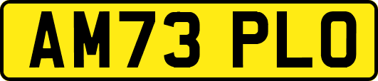 AM73PLO