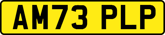AM73PLP