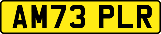 AM73PLR