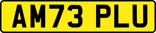 AM73PLU