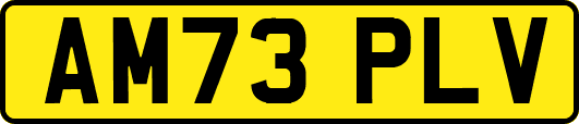 AM73PLV