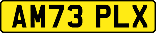AM73PLX