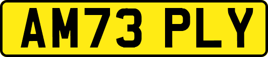 AM73PLY