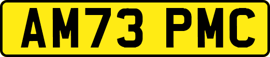 AM73PMC