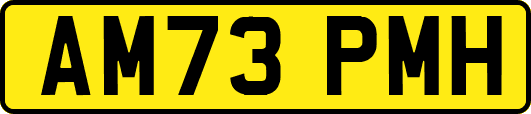 AM73PMH