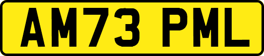 AM73PML