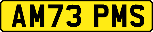AM73PMS