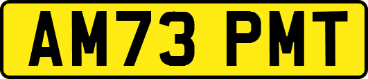 AM73PMT