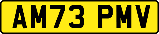 AM73PMV