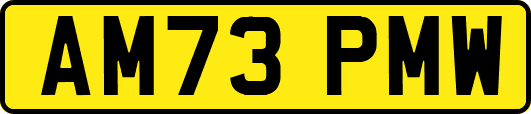 AM73PMW