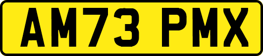 AM73PMX