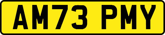 AM73PMY