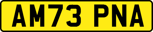 AM73PNA