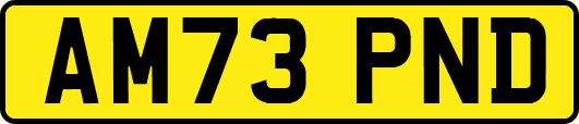 AM73PND