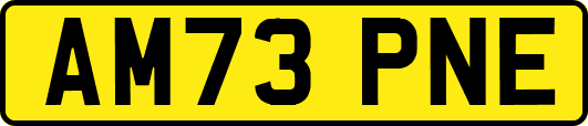 AM73PNE