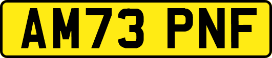 AM73PNF