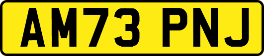 AM73PNJ