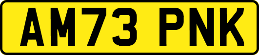 AM73PNK
