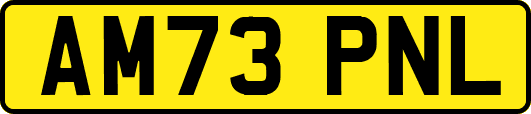 AM73PNL