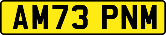 AM73PNM