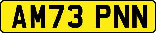 AM73PNN
