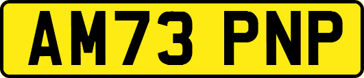 AM73PNP