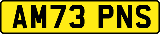 AM73PNS