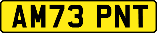 AM73PNT