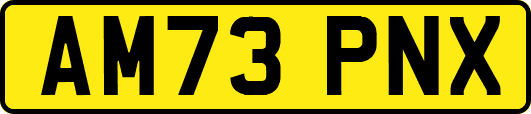AM73PNX