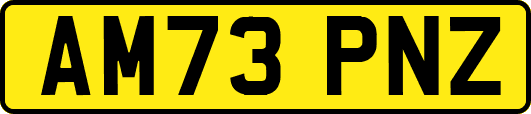 AM73PNZ