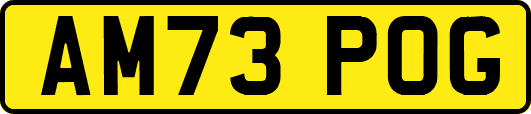 AM73POG