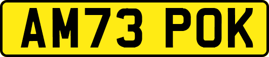 AM73POK