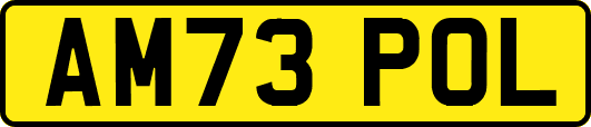 AM73POL