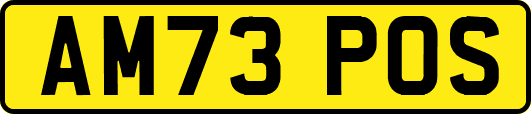 AM73POS