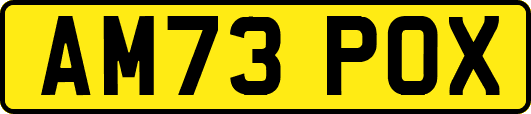 AM73POX