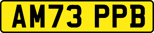 AM73PPB